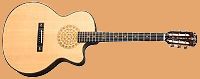 Aria Acoustic Guitar
